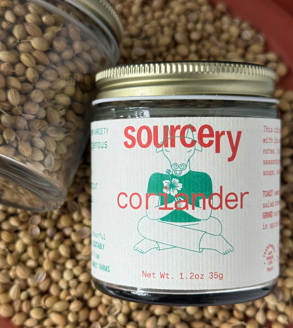 Coriander