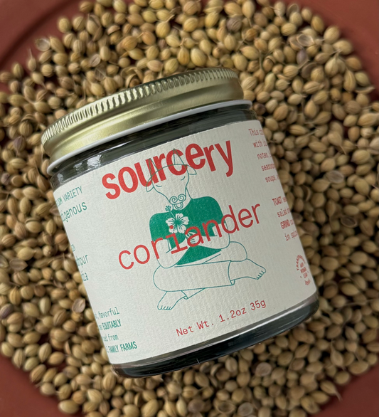 Coriander